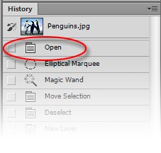 تاریخچه در فتوشاپ