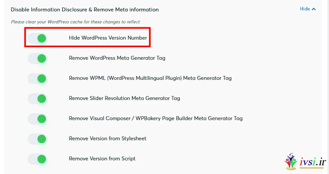انتخاب گزینه Hide WordPress Version