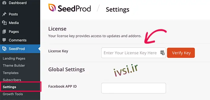 کلید مجوز SeedProd خود را وارد کنید
