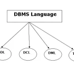 زبان های DBMS | زبان های پایگاه داده در DBMS